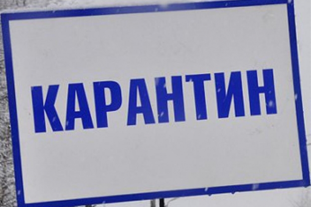 На юге Волгограда объявлен карантин по бешенству На юге Волгограда объявлен карантин по бешенству