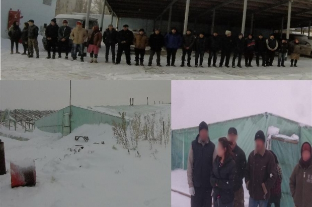 В Волгоградской области незаконно работали 22 иностранца В Волгоградской области незаконно работали 22 иностранца