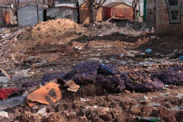 В Волгограде около 30 свалок найдено вдоль железнодорожного полотна В Волгограде около 30 свалок найдено вдоль железнодорожного полотна