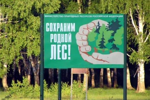 Экологи проконсультируют волгоградцев по лесным вопросам Экологи проконсультируют волгоградцев по лесным вопросам