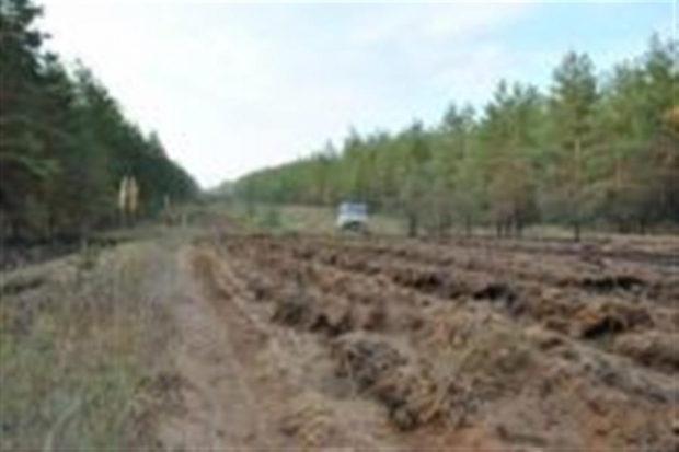 Волгоградцы патрулируют городские леса для избежания пожаров Волгоградцы патрулируют городские леса для избежания пожаров