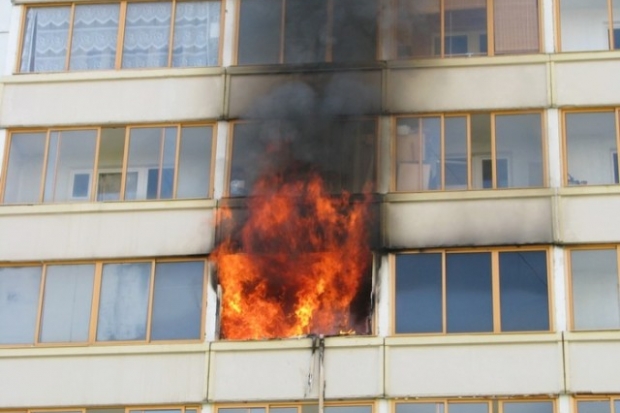 Фото: ofps.ru Фото: ofps.ru