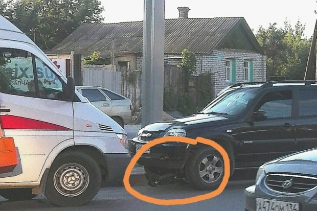 Фото: Дарья Бурцева Фото: Дарья Бурцева