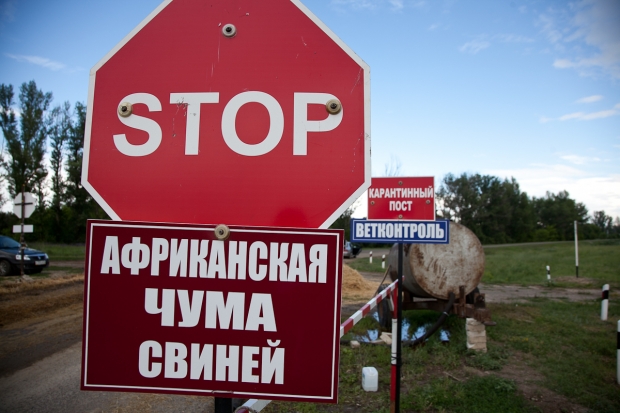 volgograd.ru volgograd.ru