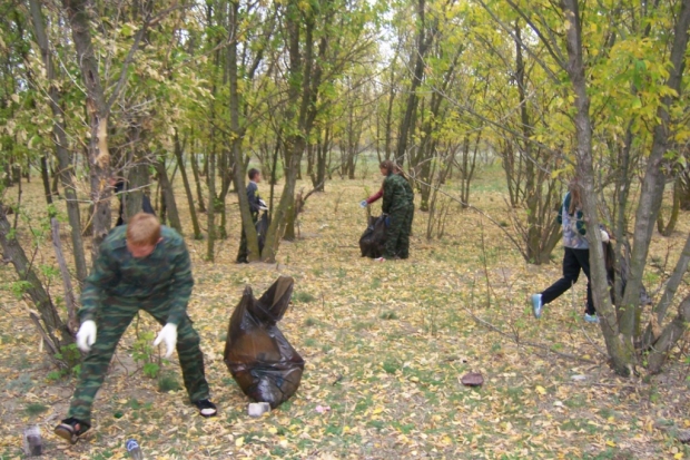 Живи, лес: в Волгоградской области очистили от мусора 10,5 гектара Живи, лес: в Волгоградской области очистили от мусора 10,5 гектара