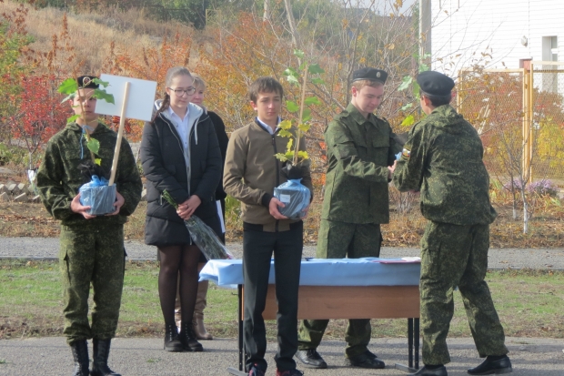 «Внуки» «дедушки-тополя» с Аллеи Героев будут расти в Городищенском районе «Внуки» «дедушки-тополя» с Аллеи Героев будут расти в Городищенском районе