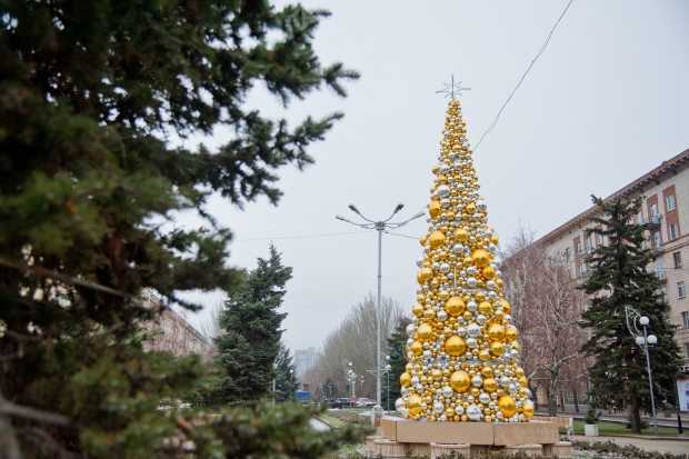 К концу каникул волгоградцы заблудились в двух елках К концу каникул волгоградцы заблудились в двух елках
