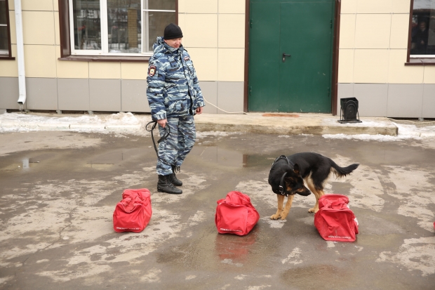 В хуторе под Урюпинском изъяли более 190 кг каннабиса и арсенал оружия В хуторе под Урюпинском изъяли более 190 кг каннабиса и арсенал оружия