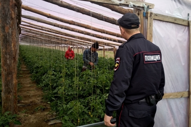 Волгоградец пойдет под суд за фиктивную регистрацию 54 иностранцев Волгоградец пойдет под суд за фиктивную регистрацию 54 иностранцев