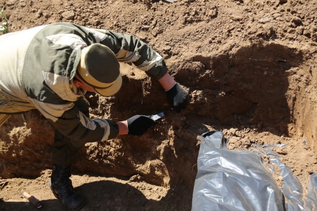 Под Волгоградом гвардейцы нашли останки пяти бойцов Красной армии Под Волгоградом гвардейцы нашли останки пяти бойцов Красной армии
