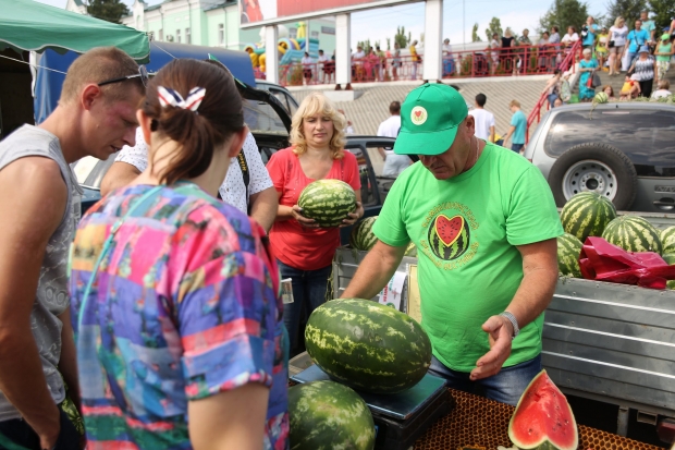 Официальная продажа арбузов и дынь разрешена в Волгограде в 60 местах Официальная продажа арбузов и дынь разрешена в Волгограде в 60 местах