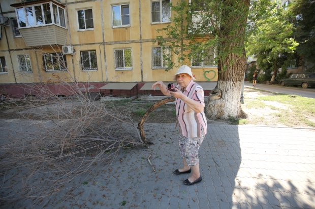 Сухая ветка упала на выходившую из дома в центре Волгограда женщину Сухая ветка упала на выходившую из дома в центре Волгограда женщину