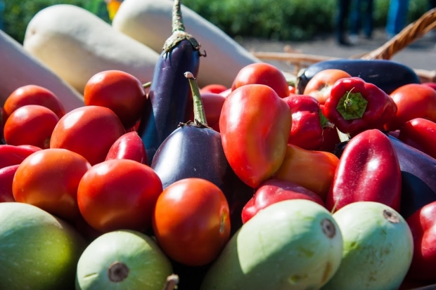 Волгоградских овощеводов нацелили на 1 млн тонн промышленной продукции Волгоградских овощеводов нацелили на 1 млн тонн промышленной продукции
