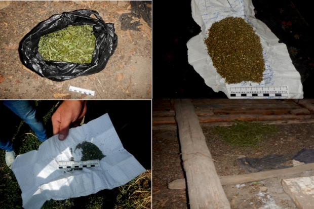 Килограмм конопли нашли у наркомана в Волгоградской области Килограмм конопли нашли у наркомана в Волгоградской области
