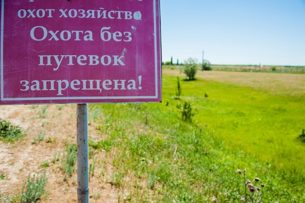В Волгоградской области с 3 ноября откроется охота на пушного зверя В Волгоградской области с 3 ноября откроется охота на пушного зверя