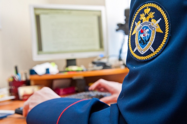СК возбудил дело по факту исчезновения 4-летнего ребенка в Михайловке СК возбудил дело по факту исчезновения 4-летнего ребенка в Михайловке