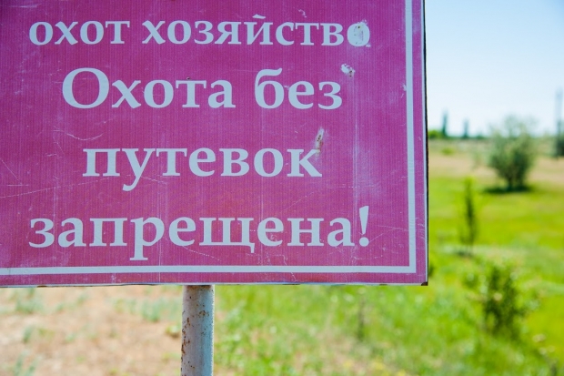 За добычу лося волгоградского охотника приговорили к 280 часам работ За добычу лося волгоградского охотника приговорили к 280 часам работ