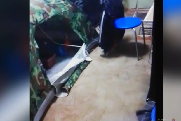 27-летний волжанин выращивал коноплю в теплице в своей квартире