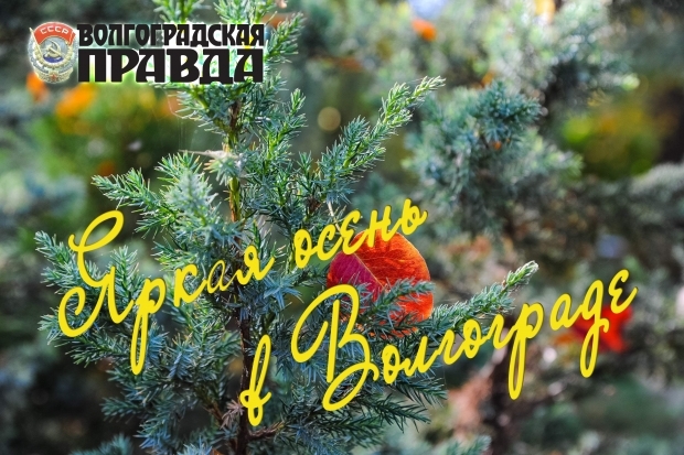 Фото на конкурс «Яркая осень в Волгограде» принимаются еще 2 дня Фото на конкурс «Яркая осень в Волгограде» принимаются еще 2 дня