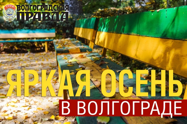 На конкурс «Яркая осень в Волгограде» прислали 300 фотографий На конкурс «Яркая осень в Волгограде» прислали 300 фотографий