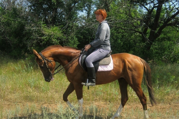 Конный спорт волгоград. Учитель верховой езды Дианы. Верховая езда Волгоград. Тренер верховой езды Дианы. Елена Егорова конный спорт.