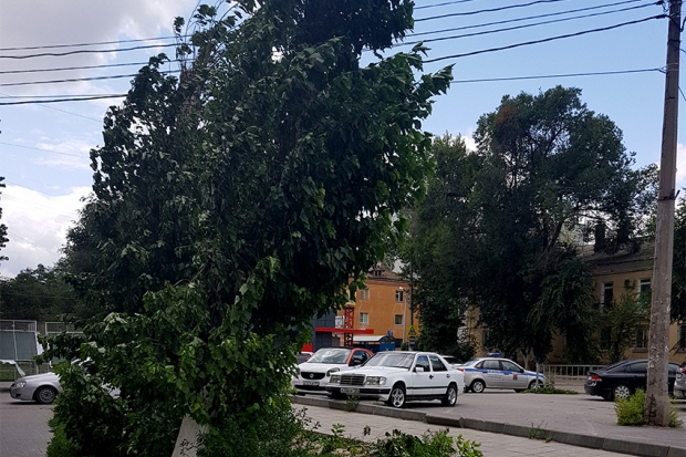 В Волгограде у августа свои причуды В Волгограде у августа свои причуды