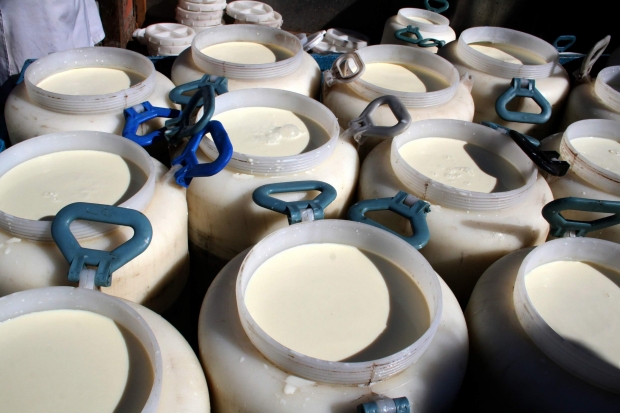 Названы вред и польза молочных продуктов Названы вред и польза молочных продуктов