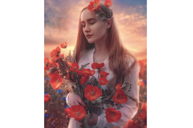 Нечего ждать элли. Элли на маковом поле. виктория трунова элли на маковом поле. элли на маковом поле обложка. эллина маковом поле.
