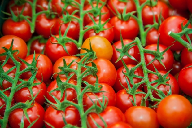 Врач назвал продукты, которые убивают раковые клетки Врач назвал продукты, которые убивают раковые клетки