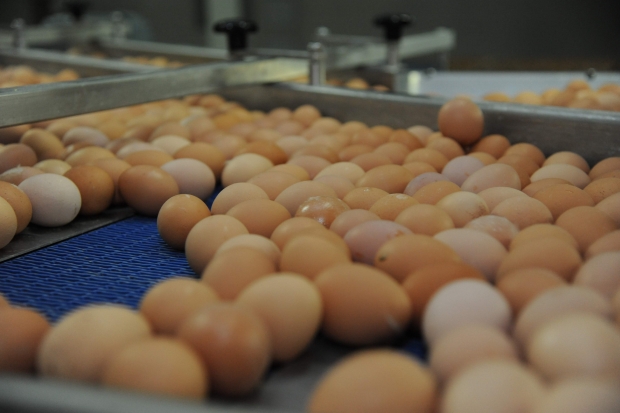 Ученые рассказали, какие продукты нельзя мыть ни в коем случае Ученые рассказали, какие продукты нельзя мыть ни в коем случае