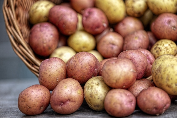 Ученые назвали продукты, полезные для улучшения работы кишечника Ученые назвали продукты, полезные для улучшения работы кишечника