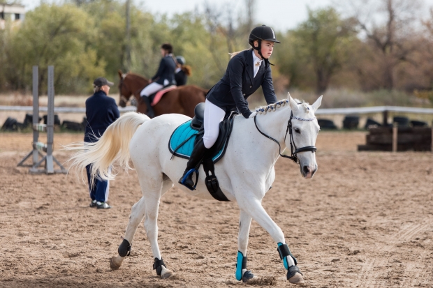 конный спорт волгоград добрыня. конный спорт волгоград.