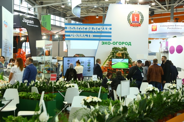 Волгоградская область представила проекты на агровыставке «Золотая осень» Волгоградская область представила проекты на агровыставке «Золотая осень»