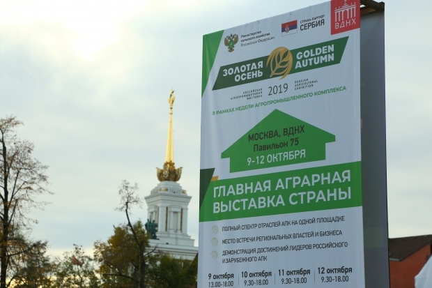 Волгоградская область привезла 100 медалей с выставки «Золотая осень» Волгоградская область привезла 100 медалей с выставки «Золотая осень»