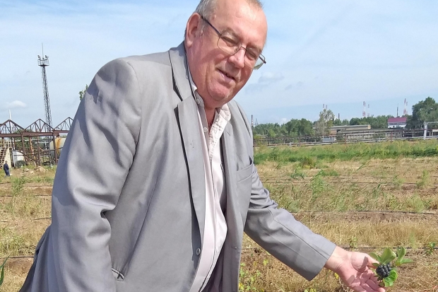 Волгоградец рассказал, как объездная дорога связана с «зеленым поясом» Волгоградец рассказал, как объездная дорога связана с «зеленым поясом»