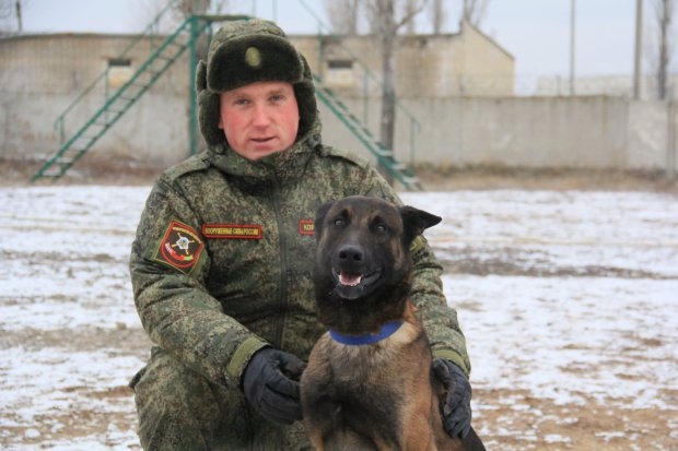 Волгоградские военные готовятся к конкурсу «Верный друг» Волгоградские военные готовятся к конкурсу «Верный друг»