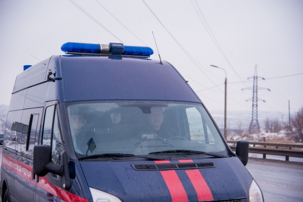 Под Волгоградом две овчарки погрызли тело 36-летней хозяйки Под Волгоградом две овчарки погрызли тело 36-летней хозяйки