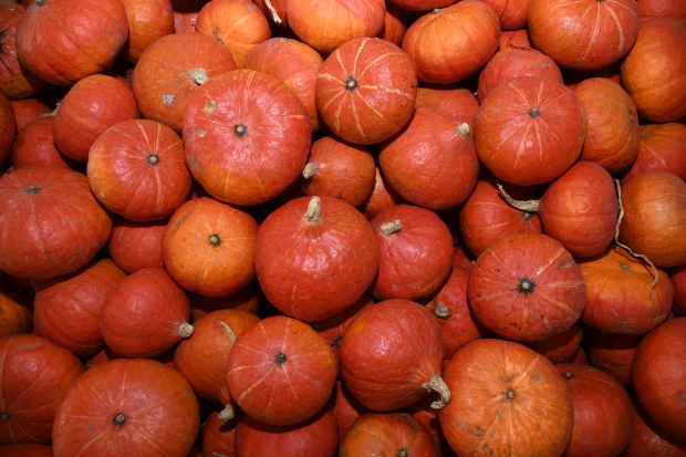 Врачи назвали лучшие продукты для восстановления печени Врачи назвали лучшие продукты для восстановления печени