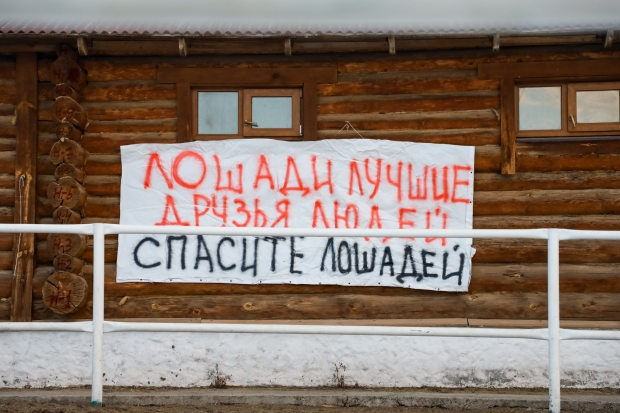 Чиновники в суде оспаривают остановку сноса конюшней «Соснового бора» Чиновники в суде оспаривают остановку сноса конюшней «Соснового бора»