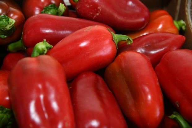 Какие продукты помогают защитить головной мозг от возрастной деградации Какие продукты помогают защитить головной мозг от возрастной деградации