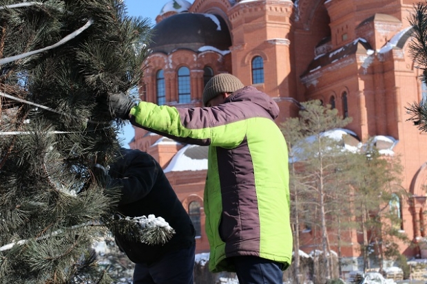 В Александровском сквере Волгограда создают первый в городе рокарий В Александровском сквере Волгограда создают первый в городе рокарий