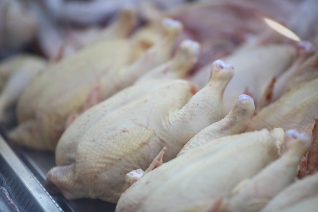 Какие продукты помогут волгоградцам в наращивании мышц Какие продукты помогут волгоградцам в наращивании мышц