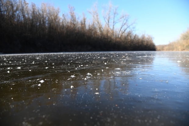 Волгоградским школьникам напомнили о безопасности на воде Волгоградским школьникам напомнили о безопасности на воде