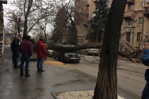 В Волгограде дорожники оперативно убирают поваленные деревья В Волгограде дорожники оперативно убирают поваленные деревья