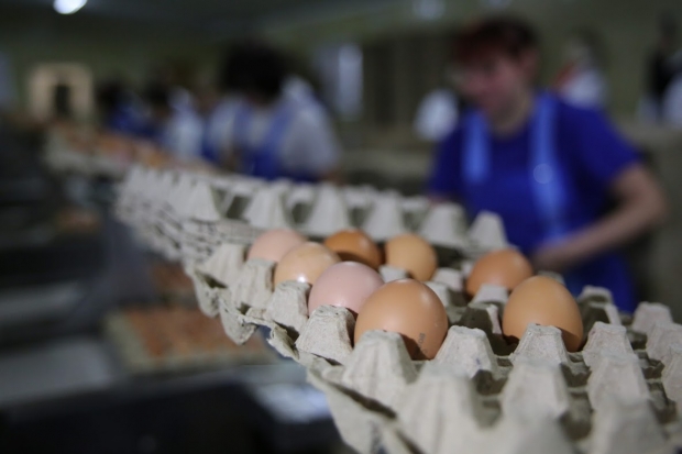 Диетолог из Волгограда рассказала о пользе куриных яиц Диетолог из Волгограда рассказала о пользе куриных яиц