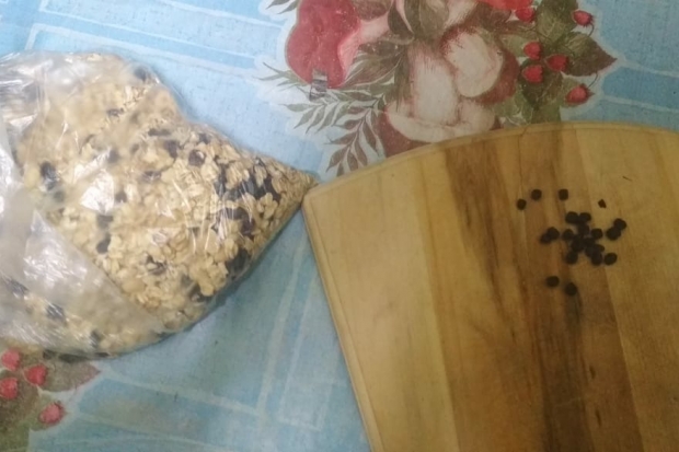 Волгоградка хотела передать сыну-заключенному овсянку с наркотиками Волгоградка хотела передать сыну-заключенному овсянку с наркотиками