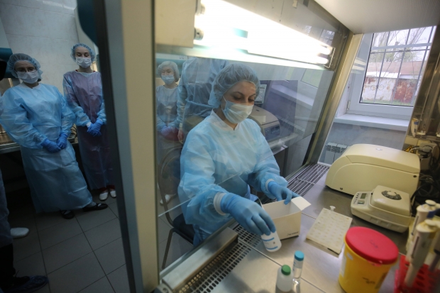 Из зеленого чая и рисовой шелухи создали средство от вирусов Из зеленого чая и рисовой шелухи создали средство от вирусов
