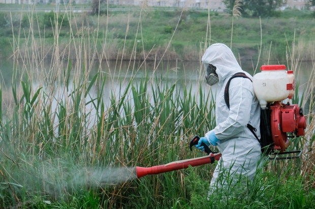 Более 170 водных объектов обработают в регионе от комаров Более 170 водных объектов обработают в регионе от комаров