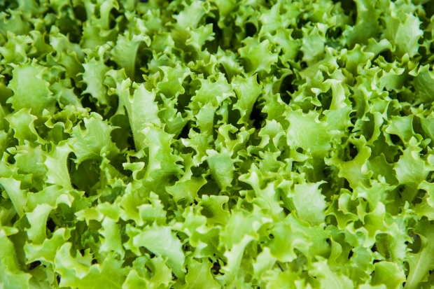 Эти продукты полезно есть даже ночью Эти продукты полезно есть даже ночью