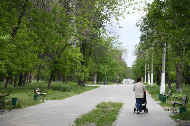 В Волгоградской области заложили тополиный питомник В Волгоградской области заложили тополиный питомник